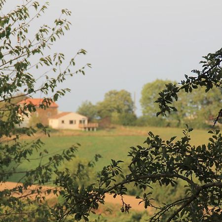 Pour Les Amoureux De La Nature. Saint-Cirgue Exterior photo
